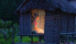 爸爸的小木屋在线观看